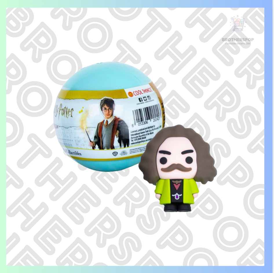 Capsule mystère Harry Potter