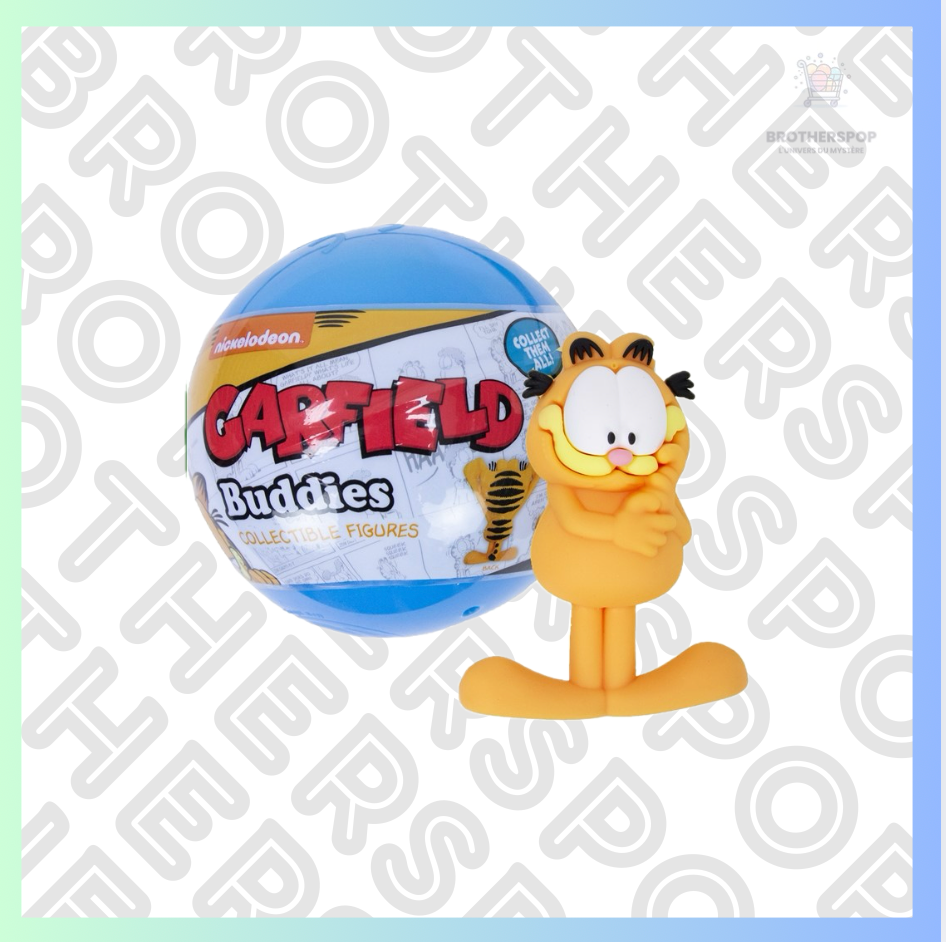 Capsule mystère Garfield